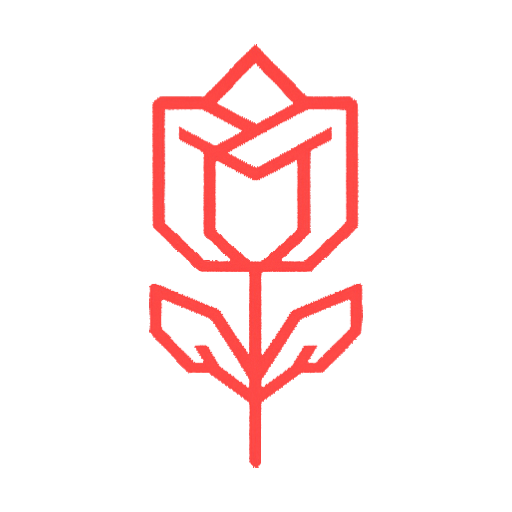 ROSE Link - Home VPN Router + Ad Blocking on Raspberry Pi